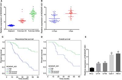 Pro-Angiogenic and Pro-Inflammatory Regulation by lncRNA MCM3AP-AS1-Mediated Upregulation of DPP4 in Clear Cell Renal Cell Carcinoma